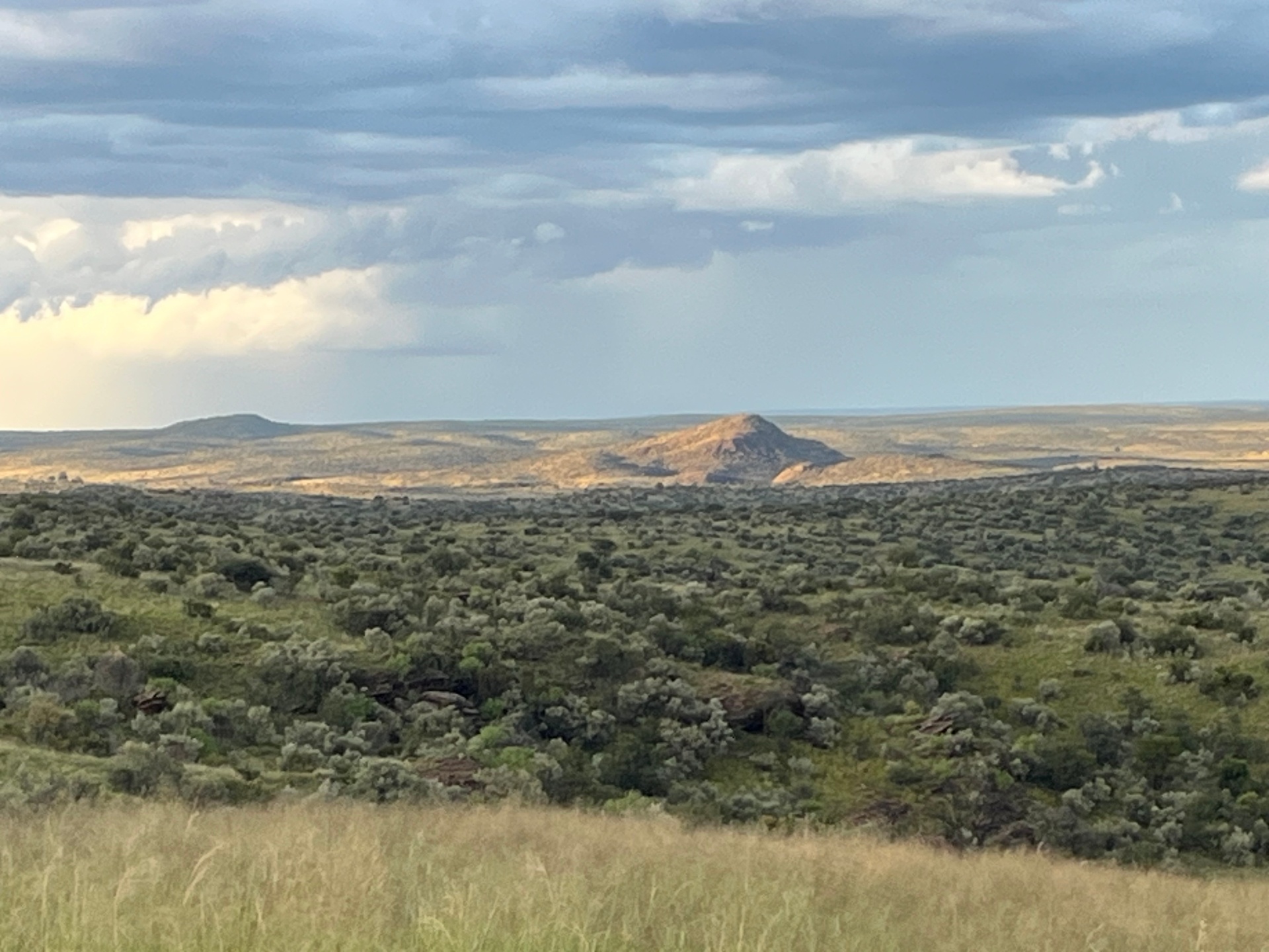 Open Landscapes