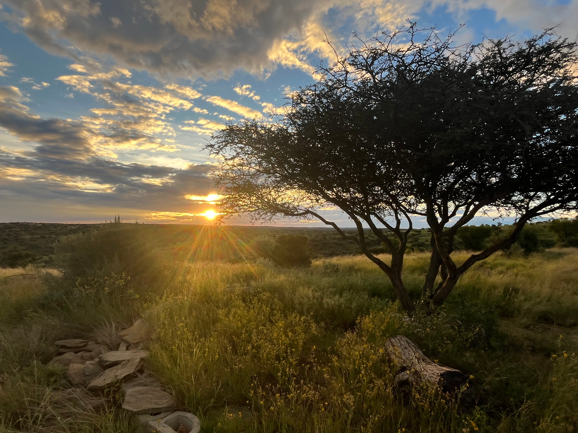 The Namibian land