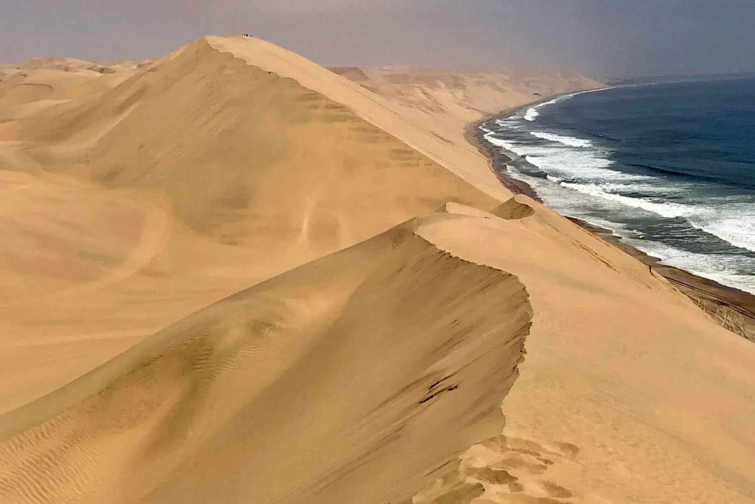 Atlantic Coast