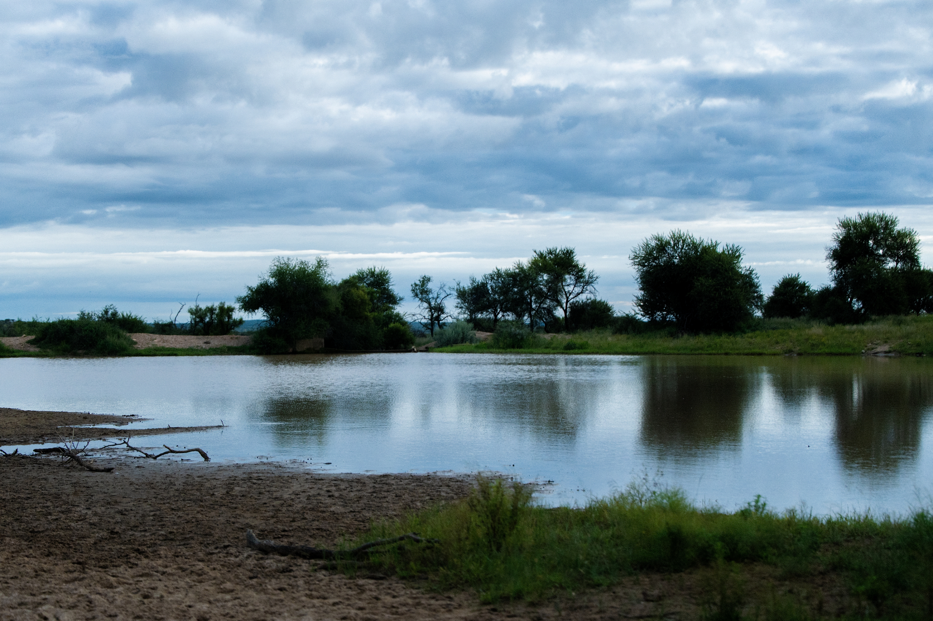 Waterhole under a dramatic sky