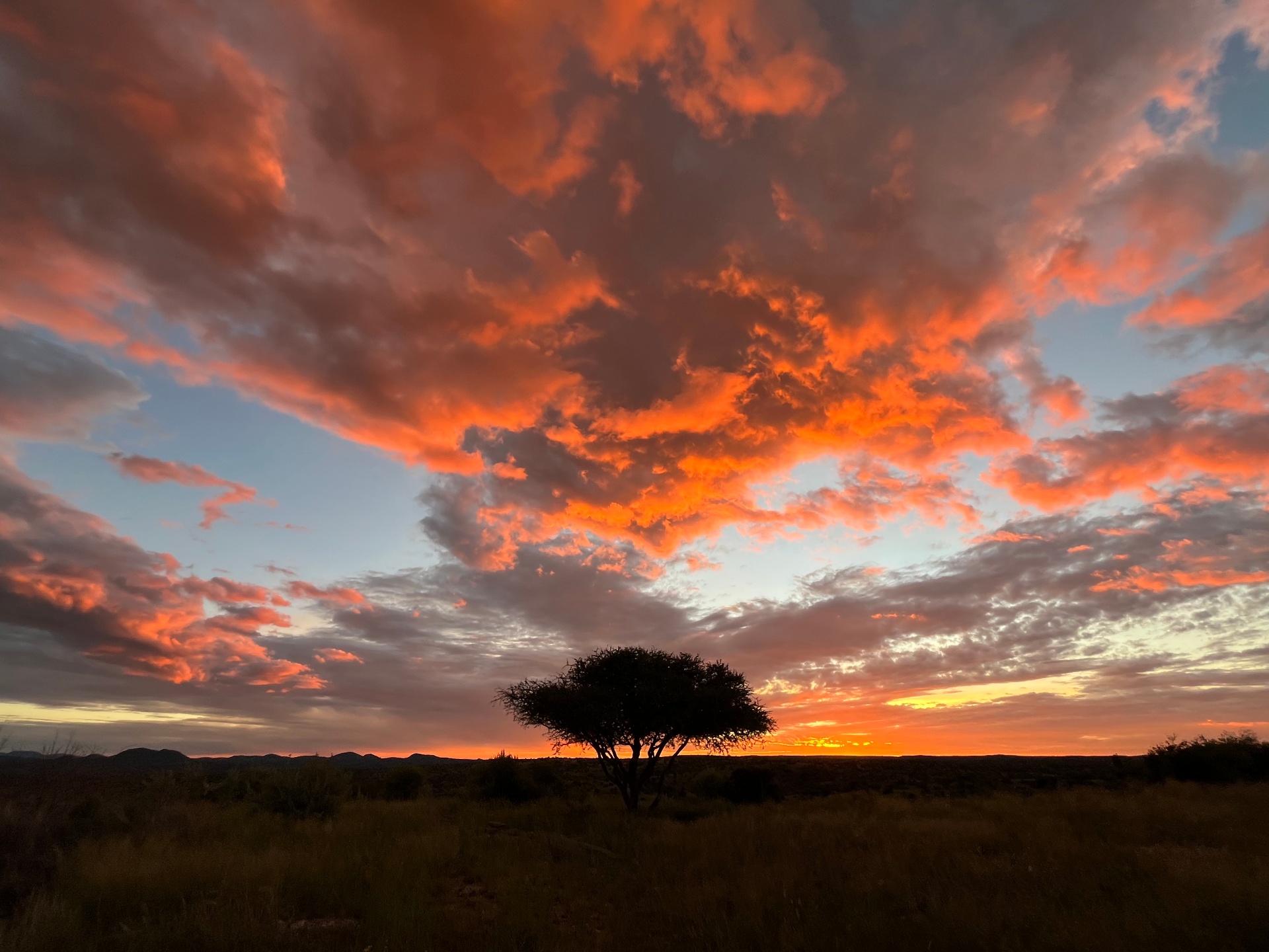 Why Namibia